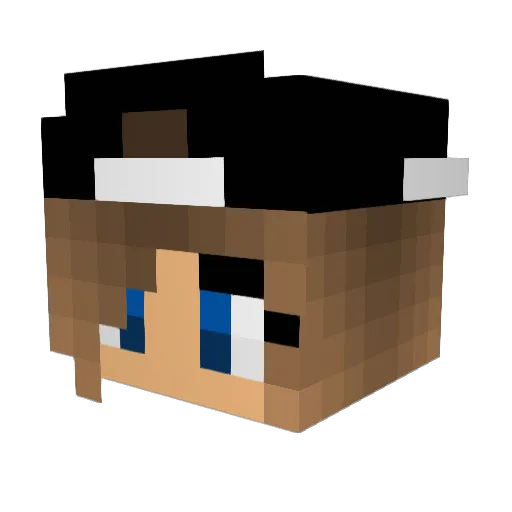Sydbid19 Minecraft avatar head, 3D render