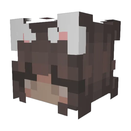 Sydii Minecraft avatar head, 3D render