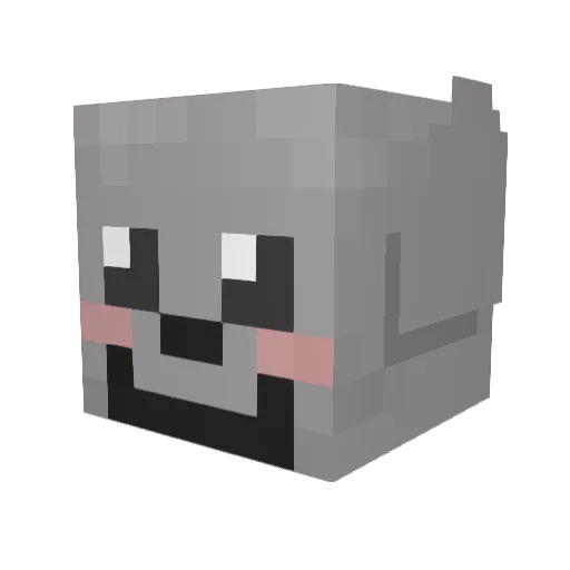 Sydkat13 Minecraft avatar head, 3D render