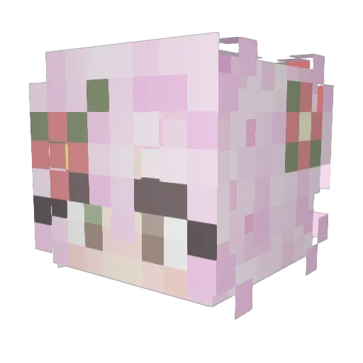 Sydog06 Minecraft avatar head, 3D render
