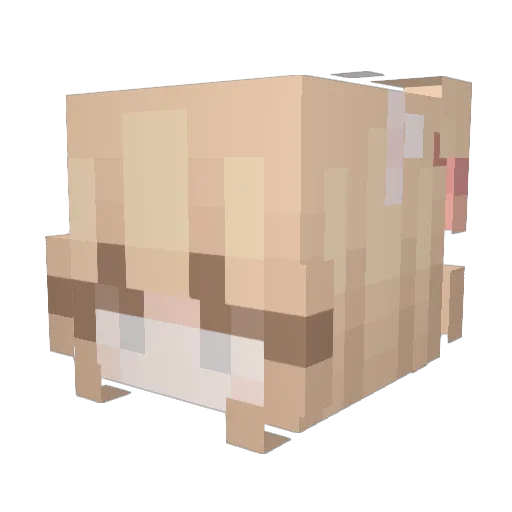 Sydpaws Minecraft avatar head, 3D render