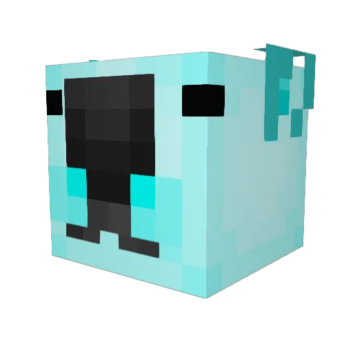 SyedAffahn911 Minecraft avatar head, 3D render