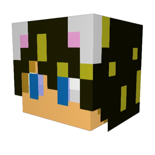 SylHoliday Minecraft avatar head, 3D render