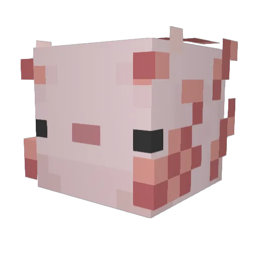 SylasDrake Minecraft avatar head, 3D render