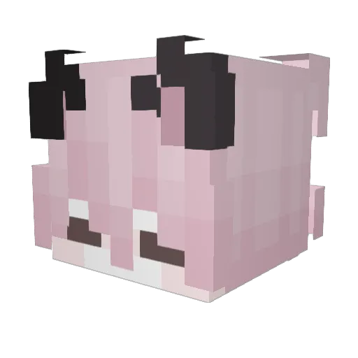 Sylbyte Minecraft avatar head, 3D render