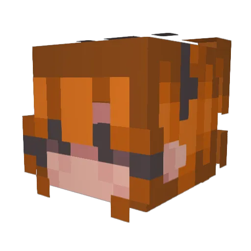 Sylcion08 Minecraft avatar head, 3D render
