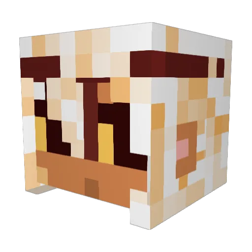 Sylias1 Minecraft avatar head, 3D render