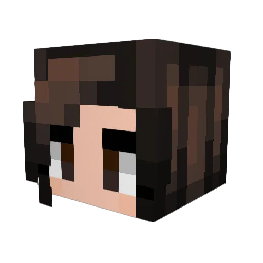 Syllabylls Minecraft avatar head, 3D render