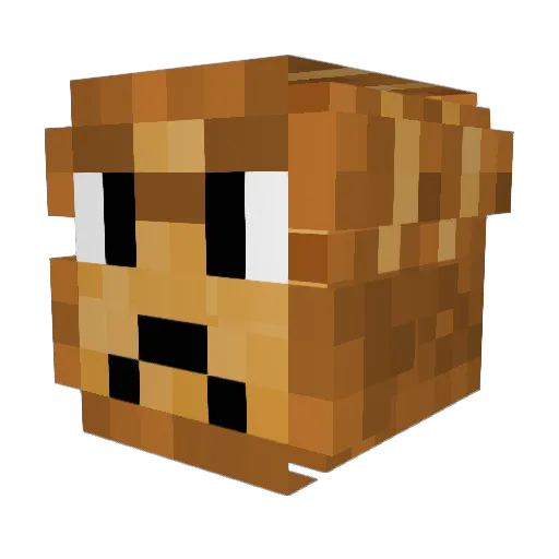 Sylman Minecraft avatar head, 3D render
