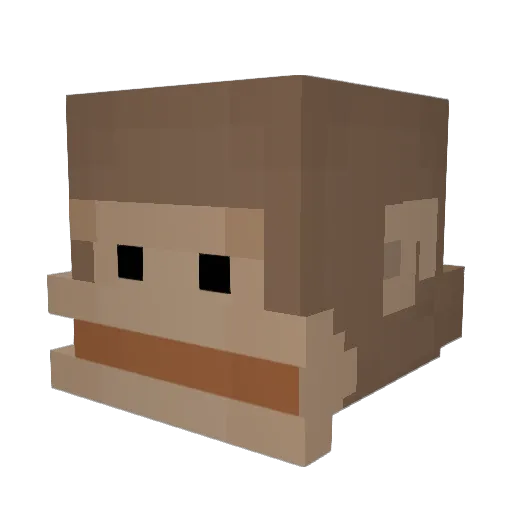 Sylver121 Minecraft avatar head, 3D render