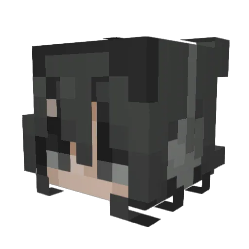 Sylvie113 Minecraft avatar head, 3D render