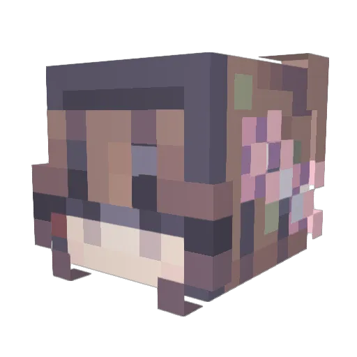 Sylviettee Minecraft avatar head, 3D render