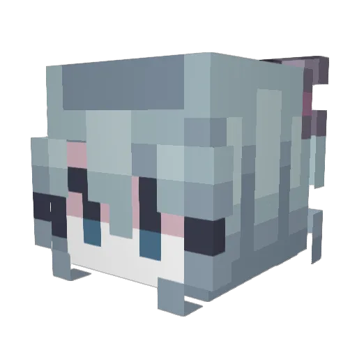 Sylvius79 Minecraft avatar head, 3D render