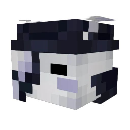 Sylvo312 Minecraft avatar head, 3D render