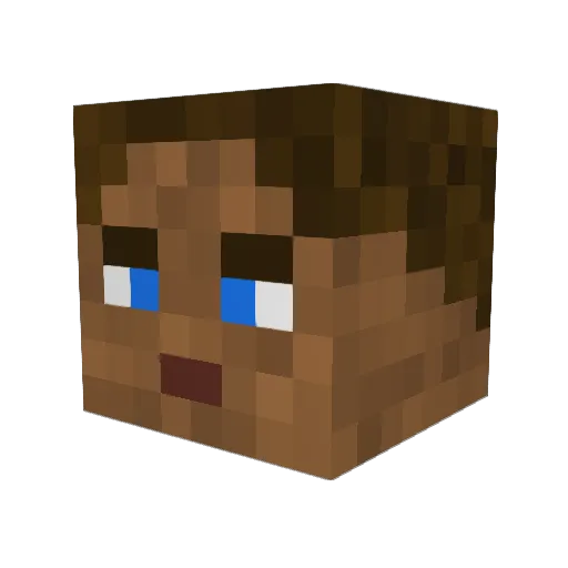 Symba09 Minecraft avatar head, 3D render