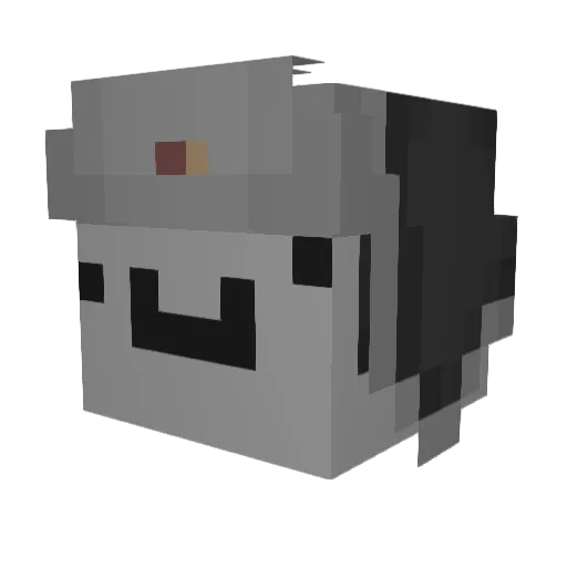 Symbio_MC Minecraft avatar head, 3D render