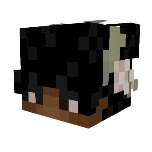 Symmetry27 Minecraft avatar head, 3D render