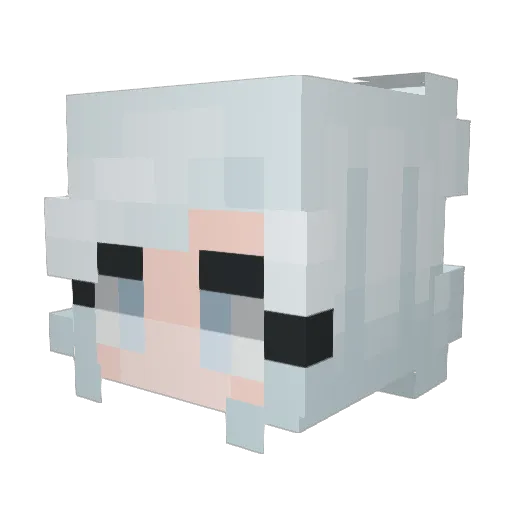 Symos Minecraft avatar head, 3D render