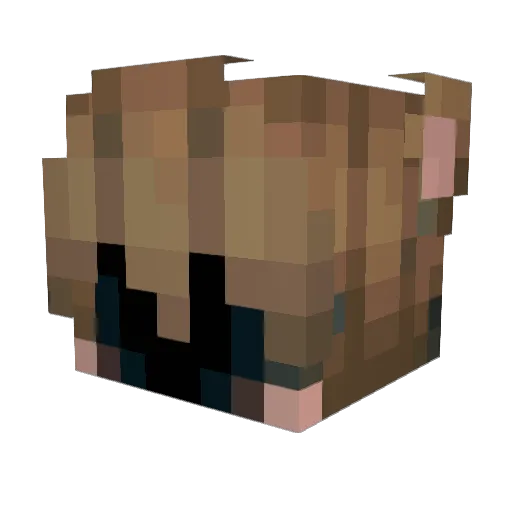 SympathyTea Minecraft avatar head, 3D render