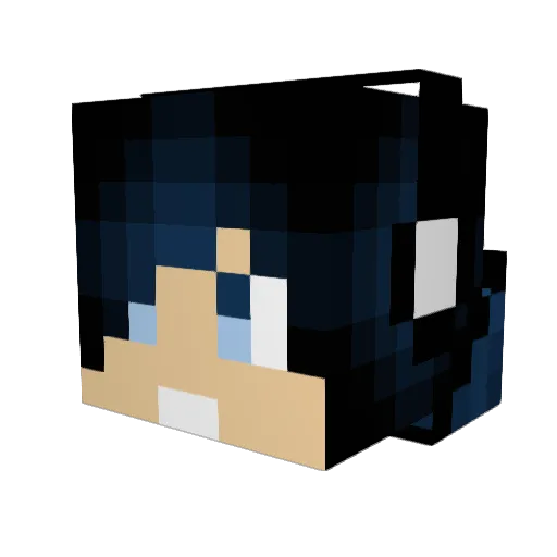 Sympel_ Minecraft avatar head, 3D render