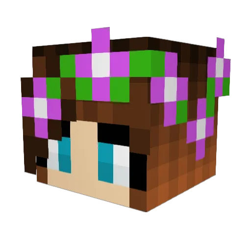 Symphony_Merit Minecraft avatar head, 3D render