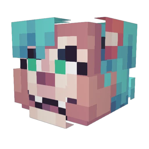 SynaBytez Minecraft avatar head, 3D render