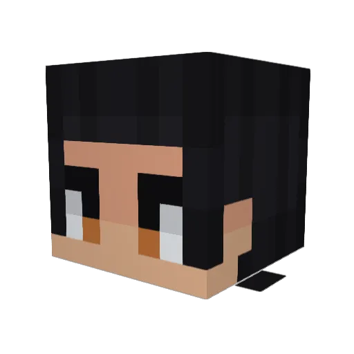 Synachse Minecraft avatar head, 3D render