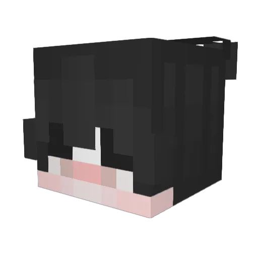 Synaphia Minecraft avatar head, 3D render