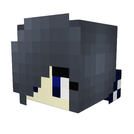 Syncronoged2438 Minecraft avatar head, 3D render