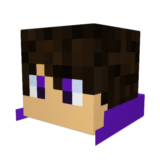 Synder14 Minecraft avatar head, 3D render
