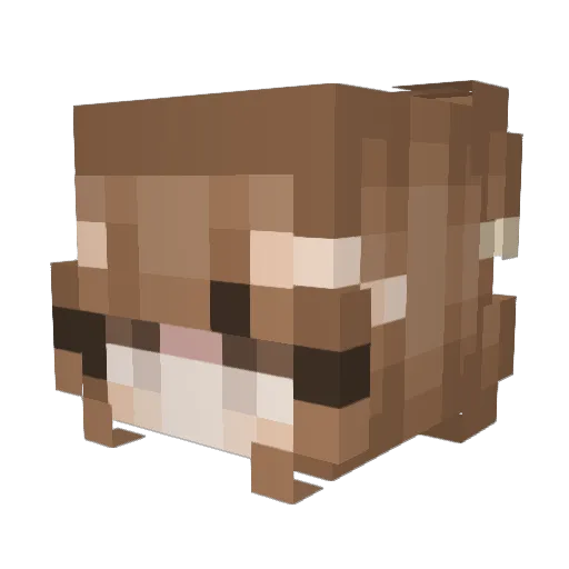 Syngu3 Minecraft avatar head, 3D render