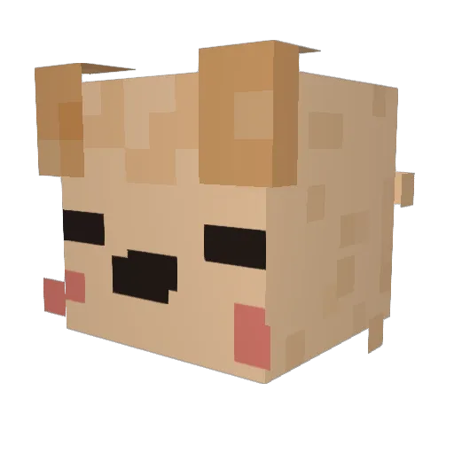 Synnnu Minecraft avatar head, 3D render
