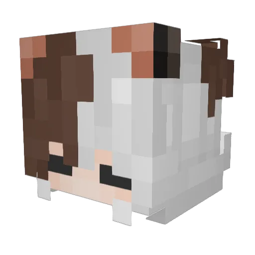 Synoat Minecraft avatar head, 3D render