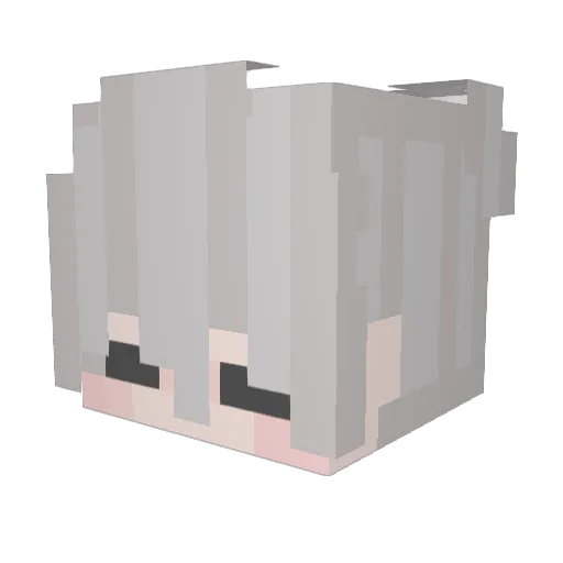 Synoply Minecraft avatar head, 3D render