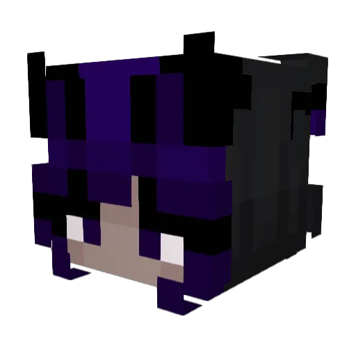 Synorexia Minecraft avatar head, 3D render