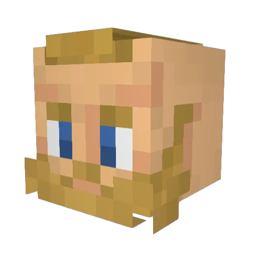 Syntax_Undefined Minecraft avatar head, 3D render
