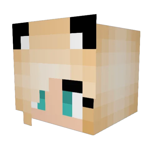 Syntergy Minecraft avatar head, 3D render