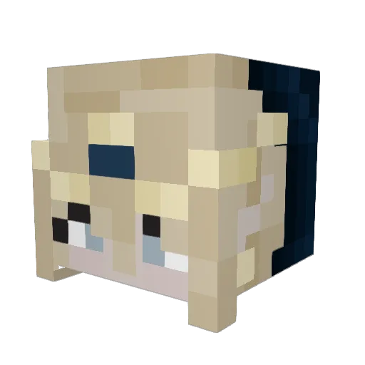 Synthwave_Taco Minecraft avatar head, 3D render