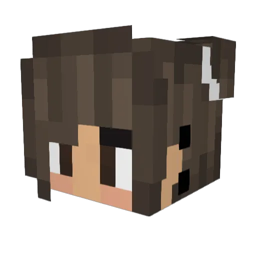 SyntraxXError Minecraft avatar head, 3D render