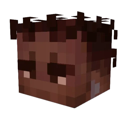Syntropic Minecraft avatar head, 3D render