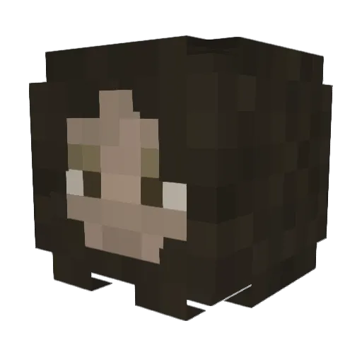 SyrScoob Minecraft avatar head, 3D render