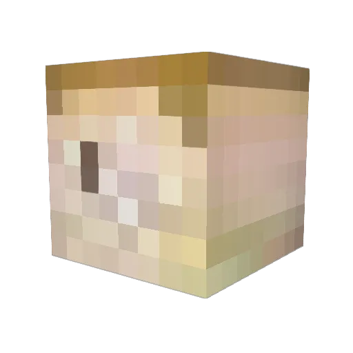 Syrobane Minecraft avatar head, 3D render