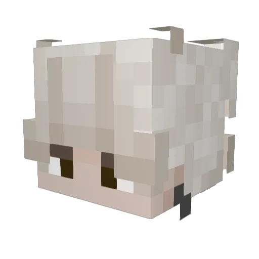 Syruphine Minecraft avatar head, 3D render