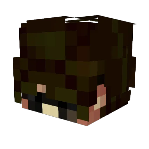 SysError1996 Minecraft avatar head, 3D render