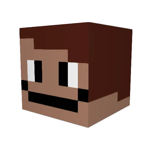 Syst3M53 Minecraft avatar head, 3D render