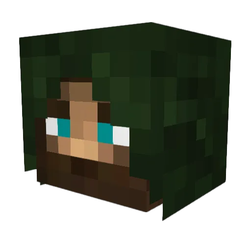 System_A_dmin Minecraft avatar head, 3D render