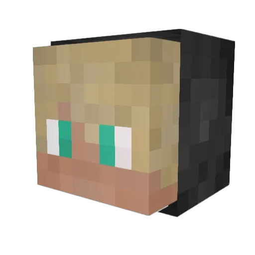 Systemaster102 Minecraft avatar head, 3D render