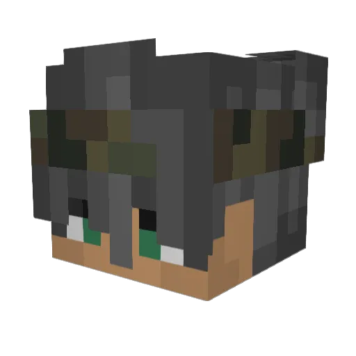 Systemausfall Minecraft avatar head, 3D render