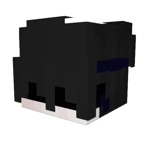 Systemed Minecraft avatar head, 3D render