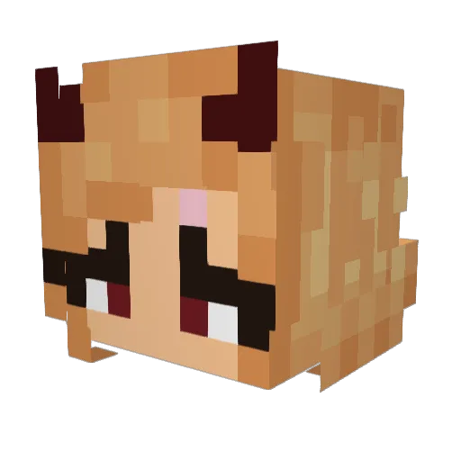 Sytrazz Minecraft avatar head, 3D render